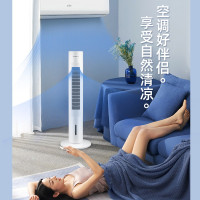 志高(CHIGO)1空調(diào)扇與格力(GREE)KS-06X71Dg空調(diào)扇深度對比評測 誰才是你的夏日性價比之王？